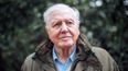 David Attenborough has just confirmed a brand new nature series for 2021