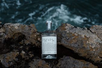 Award-winning Clare hotel launches new gin and a tree will be planted for each bottle sold!