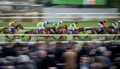 Jargon quiz: Can you guess what these horse racing terms mean?