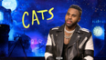 WATCH: Cats star Jason Derulo reveals that he’s still a dog person