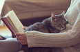 Reading for just six minutes reduces your stress more than pretty much anything else