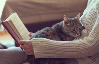 Reading for just six minutes reduces your stress more than pretty much anything else