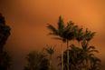 Rain in Australia has little impact on raging bushfires