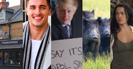 A definitive ranking of the most ridiculous things that happened in 2019