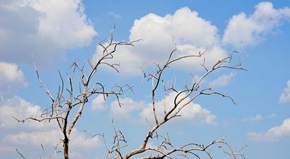 Met Eireann says that the weather this weekend will be pretty warm, so happy new year to us