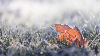 Met Éireann say frost, mist and icy patches will welcome us into the New Year