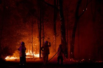 Australia declares state of emergency for New South Wales as bushfires rage on