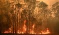 Sydney suburb recorded as the hottest place on Earth yesterday as bushfires continue