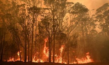 Sydney suburb recorded as the hottest place on Earth yesterday as bushfires continue