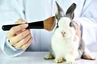Sale of cosmetics tested on animals banned in California, Nevada, and Illinois