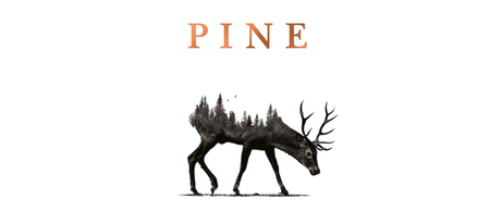 Review: Francine Toon’s Pine is a haunting and heartbreakingly bewitching tale