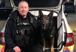 Good Boy police dog sniffs out man’s lost wedding ring on roadside