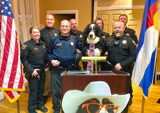 Parker the Snow Dog has been voted the honorary mayor of a town in Colorado and yeah, he’d have our vote