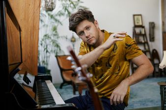 Niall Horan has announced a charity fundraiser at the London Irish Centre next month