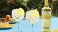 Gordon’s Gin has launched a new Sicilian Lemon flavour for summer, and we’re thirsty