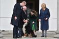 The photo you want to see today is Kate and William meeting Ireland’s first dog