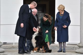 The photo you want to see today is Kate and William meeting Ireland’s first dog