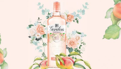 Gordon’s launches a brand new peach gin and HELLO summer