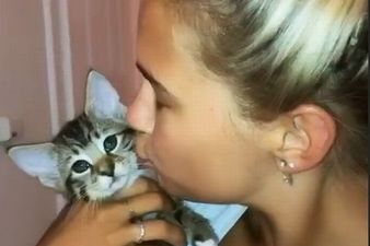 ‘My poor baby’: Molly Mae Hague heartbroken after her cat was hit by a car