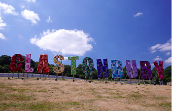 ‘Our only viable option’ Glastonbury 2020 has been cancelled