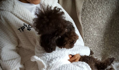 You and your doggo can now have matching robes and it’s the news we needed