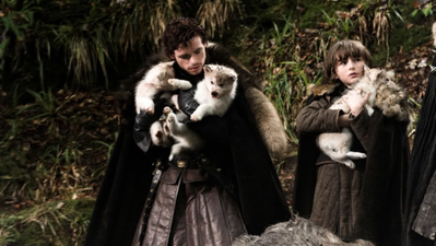 Odin, who played Bran Stark’s direwolf in Game of Thrones, has died at the age of 10