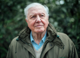 10 iconic Sir David Attenborough quotes to mark his 94th birthday