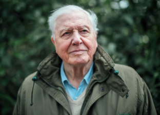 10 iconic Sir David Attenborough quotes to mark his 94th birthday