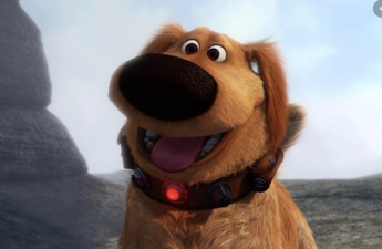 Her Quarantine Quiz Week 10: Famous pets