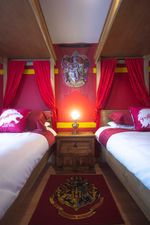 There’s a Harry Potter themed Airbnb in Roscommon and we just need to visit