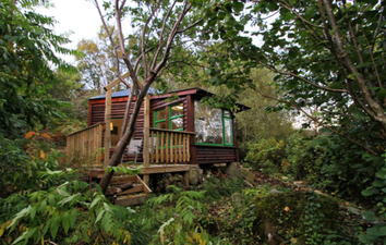 This adorable Westport treehouse is just €95 a night on Airbnb