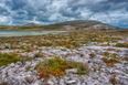The Burren named one of best places to travel for 2021 by Lonely Planet