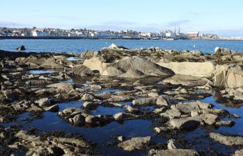 The joy of Irish sea swims! Here’s why we should all be taking the plunge