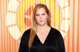 Amy Schumer reveals Lyme Disease diagnosis