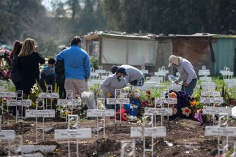 Death toll from Covid-19 pandemic passes one million worldwide