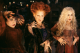 I watched Hocus Pocus for the first time, and it quickly became clear I had been wasting my life thus far