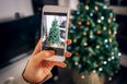 This is when you should put up your Christmas tree in 2020 – and it actually is November