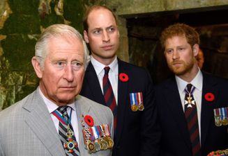 Prince Harry ‘supported by William and Charles’ after wife Meghan’s miscarriage