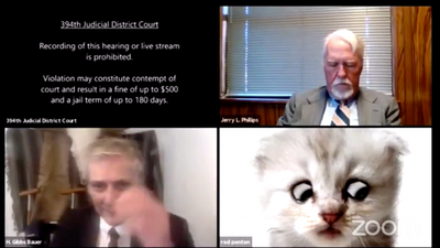 WATCH: Lawyer insists he’s “not a cat” after accidentally using filter on Zoom call