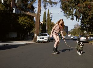 Zara has launched a new chic collection just for dogs