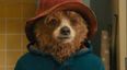 Paddington 3 is officially in the works!