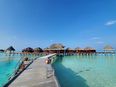 Couple pays €25,000 to work remotely from the Maldives during Covid
