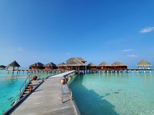 Couple pays €25,000 to work remotely from the Maldives during Covid