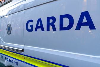 Woman arrested after multiple Garda cars chase vehicle from Ballymun to Wicklow and back