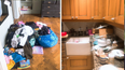 A woman stopped doing the dishes for two days and the results are eye-opening