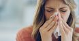 Hay fever season is coming, so here are the symptoms and ways to treat it