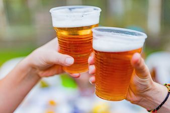 Gathering to drink in parks is “appalling,” says Minister for Finance