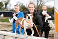 New RTÉ series goes behind the scenes at the DSPCA and it looks ridiculously adorable