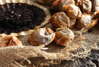 Most Irish teabags contain plastic and aren’t biodegradable, says research