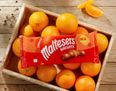 You can get chocolate orange Maltesers biscuits now